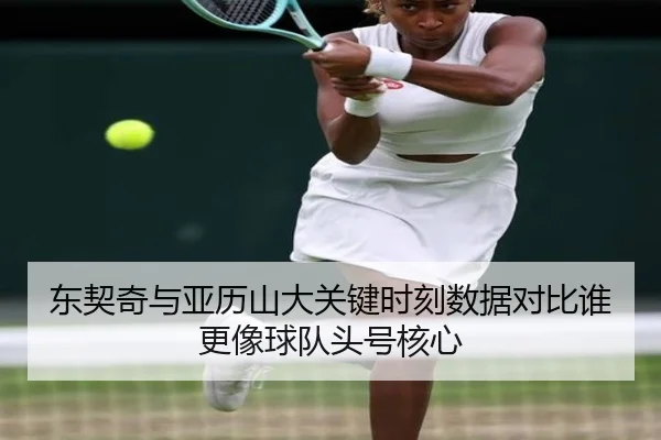 东契奇与亚历山大关键时刻数据对比谁更像球队头号核心