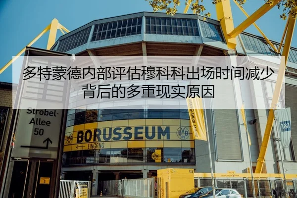 多特蒙德内部评估穆科科出场时间减少背后的多重现实原因